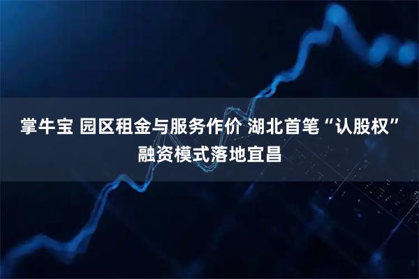 掌牛宝 园区租金与服务作价 湖北首笔“认股权”融资模式落地宜昌
