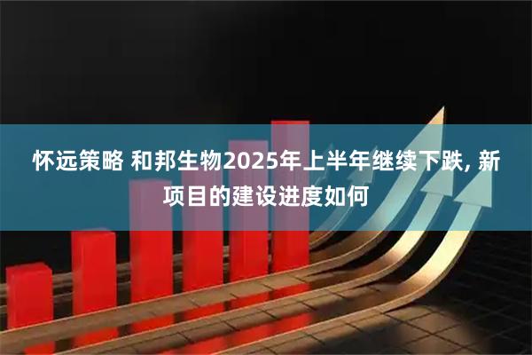 怀远策略 和邦生物2025年上半年继续下跌, 新项目的建设进度如何